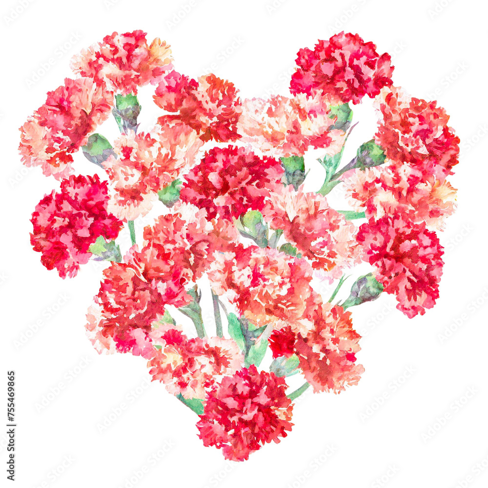 Fototapeta premium Illustration of heart-shaped carnations painted in watercolor