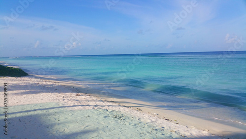 Fototapeta Naklejka Na Ścianę i Meble -  beach with trees maldives island