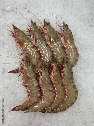 Obraz na płótnie cold mixed raw meats seafood slices platter kuruma shrimp, tiger prawn, shell scallop, baby sotong squid, white shrimp in plate for steam boat hot pot ingredient on ice asian halal food cuisine menu f w salonie