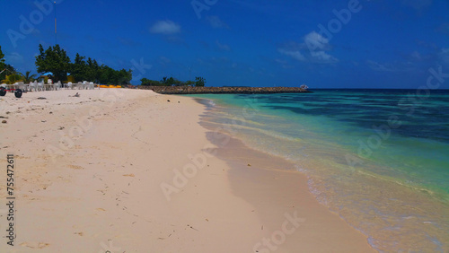 beach with trees maldives island