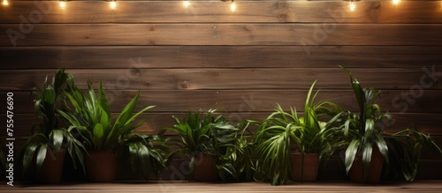 A lineup of potted plants arranged neatly along a wooden wall indoors. The plants are sitting on a wood surface, with subtle string lights creating a cozy atmosphere. There is ample copy space in the