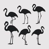 flat design flamingo silhouette collection