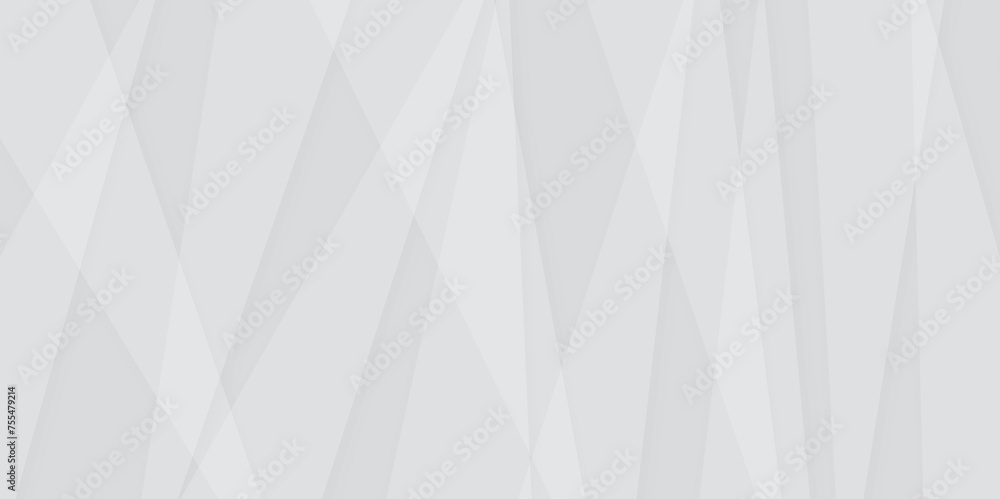 White and gray color geometric style with simple lines and corners abstract background design. geometric triangle pattern shape background. white elements in blank space geometric white lines design. White and gray color geometric style with simple lines and corners abstract background design. geometric triangle pattern shape background. white elements in blank space geometric white lines design.