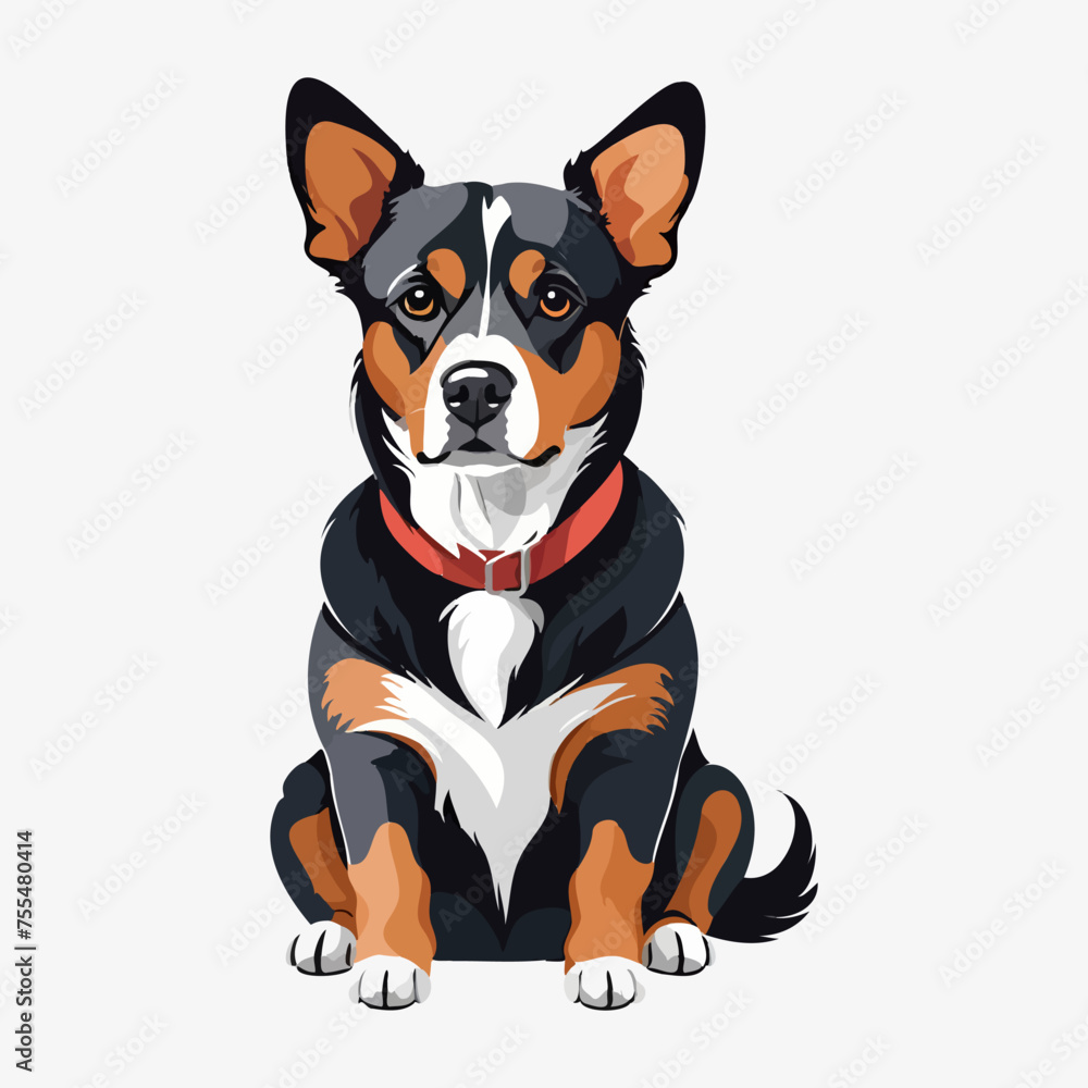 A dog is sitting on a white background. The dog is wearing a red collar. The dog has a black and brown coat