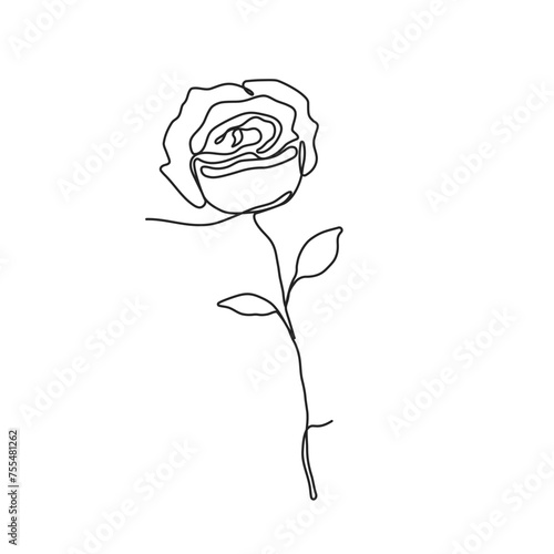 Hand drawn rose in continuous one line style. Vector, png outline of flower isolated on transparent background