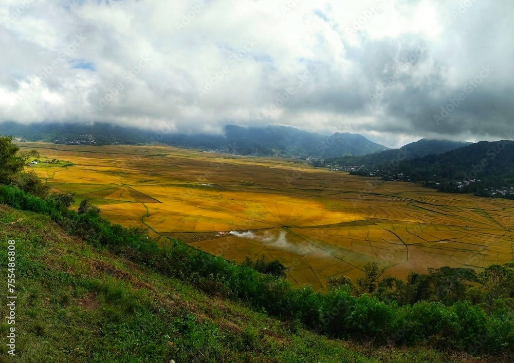 a rice field area shaped like a spider web in Cancar, Manggarai, Flores Island, Indonesia.