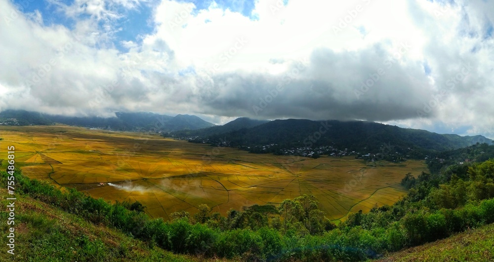 a rice field area shaped like a spider web in Cancar, Manggarai, Flores Island, Indonesia. a rice field area shaped like a spider web in Cancar, Manggarai, Flores Island, Indonesia.