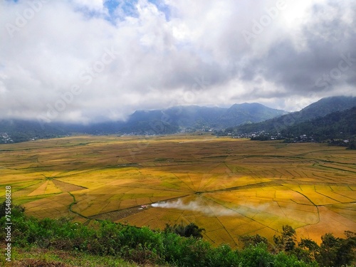 a rice field area shaped like a spider web in Cancar, Manggarai, Flores Island, Indonesia. photo