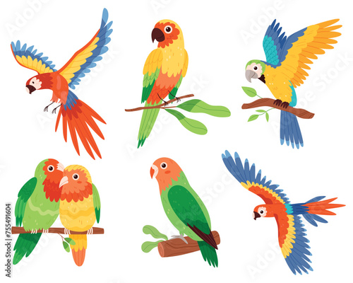 Colorful compositions set with parrot birds on tropical leaves in bright colors.Hand drawn style