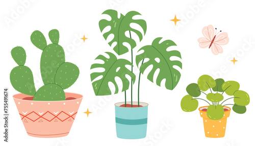 A set of house plants in pots in a hand-drawn style. Cactus, monstera, pelea.