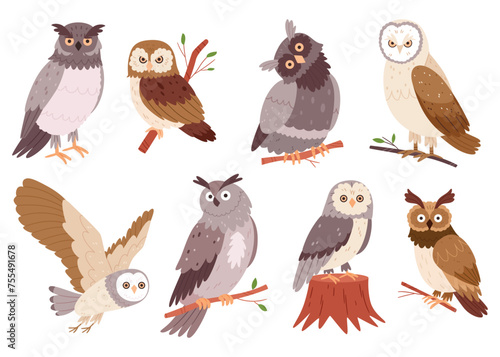 Set of hand drawn owls.Wild forest birds. Flying creatures. Elements for ornithology book. Flat design.