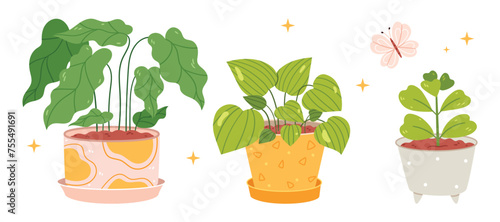 Set of house plants in pots in hand drawn style. Ficus, succulent, pilea,