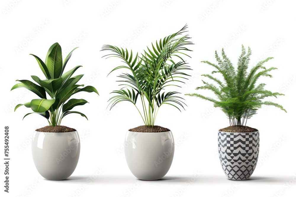 Three potted plants are lined up in a row, with one in the middle and two on either side. The plants are all green and healthy. Three potted plants are lined up in a row, with one in the middle and two on either side. The plants are all green and healthy.