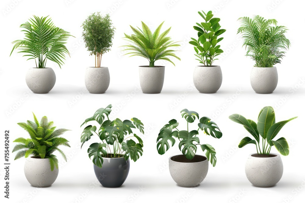 A collection of potted plants in various sizes and shapes. The plants are arranged in a row, with some taller and some shorter. A collection of potted plants in various sizes and shapes. The plants are arranged in a row, with some taller and some shorter.