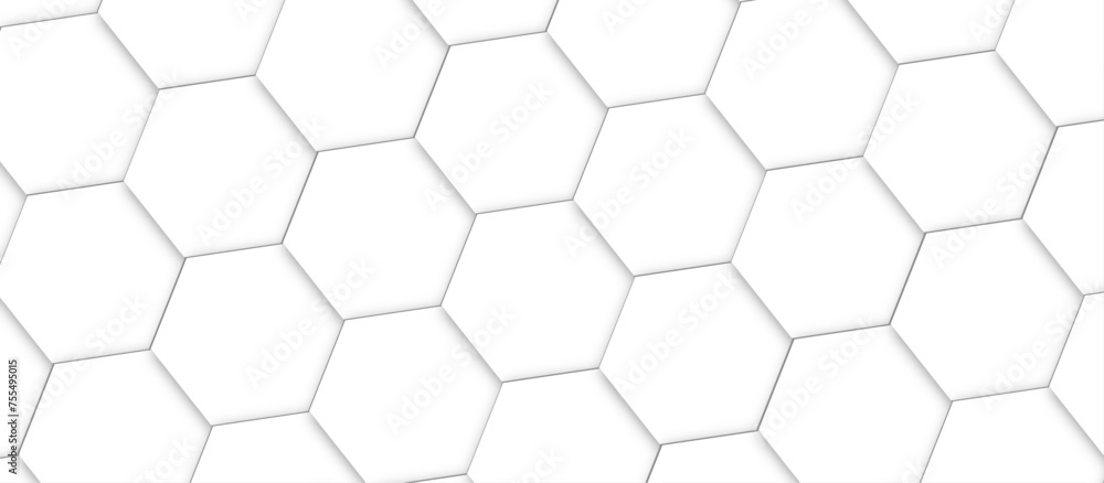 Abstract background with seamless geometric pattern . Geometry pattern hexagon. Hexagonal netting. seamless background with 3d illustration. structure futuristic white background and Embossed Hexagon. Abstract background with seamless geometric pattern . Geometry pattern hexagon. Hexagonal netting. seamless background with 3d illustration. structure futuristic white background and Embossed Hexagon.