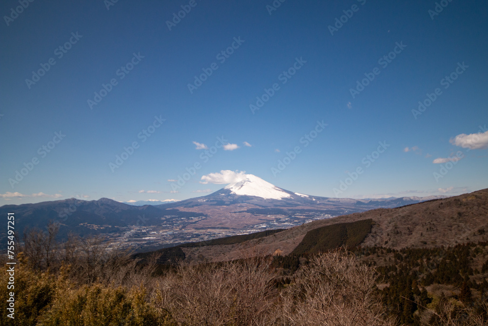 Obraz premium 富士山の冬景色