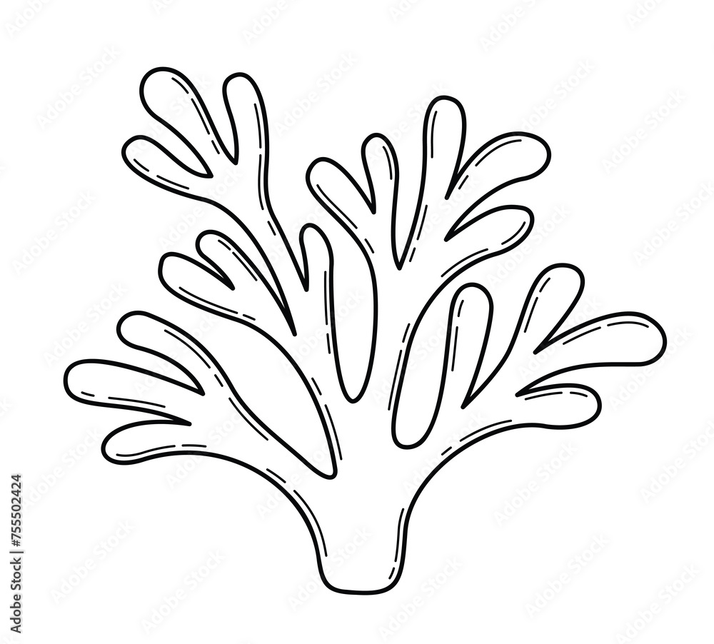 Vector hand drawn illustration of seaweed in outline style isolated on white background Vector hand drawn illustration of seaweed in outline style isolated on white background