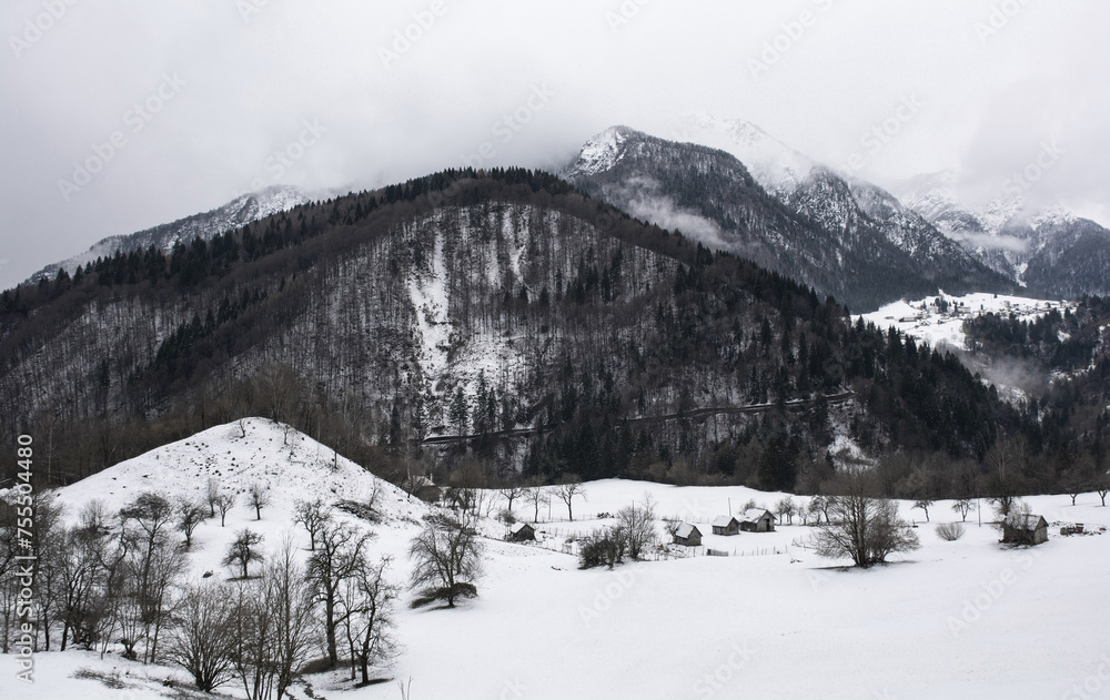 Deep winter snow in Val Pontebbana, north of Pontebba in Udine Province, Friuli-Venezia Giulia, North East Italy. Late February