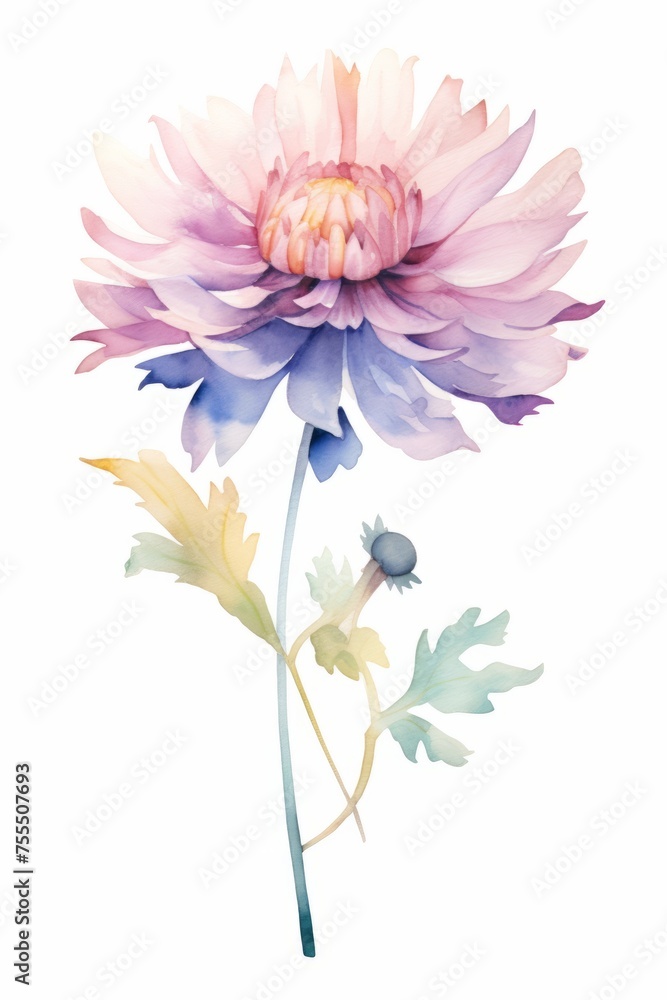 watercolor purple flowers on a white background