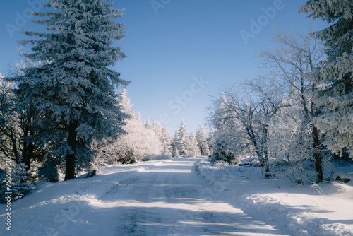 winterliches Fichtelgebirge (ID: 755507685)