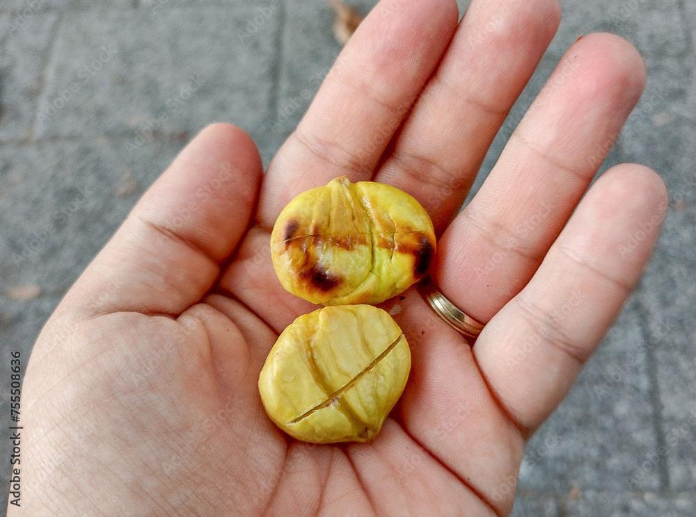 Roasted chestnuts kernel in a hand Roasted chestnuts kernel in a hand