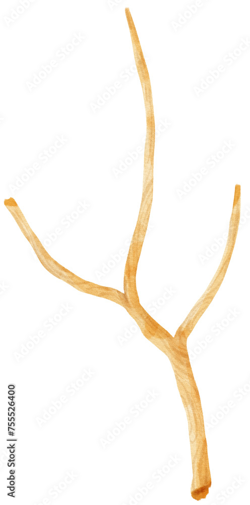Watercolor branch Watercolor branch