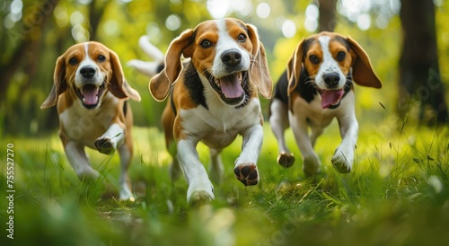 Trio of Joyful Beagles Sprinting Exuberantly in Sunlit Park - Generative AI
