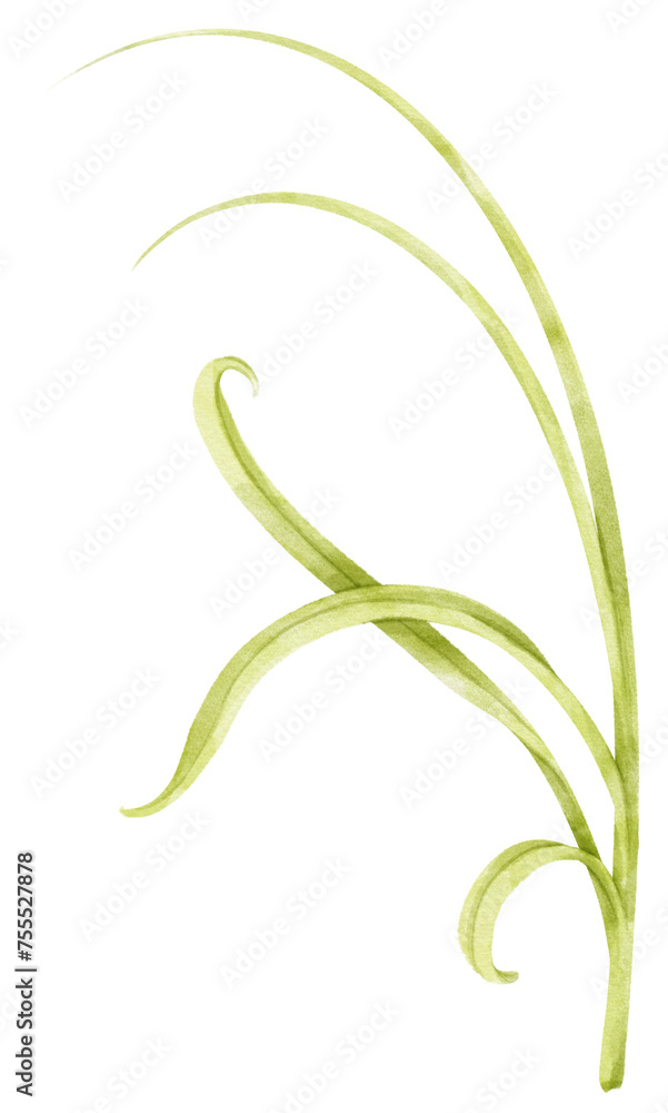 Watercolor Grass Watercolor Grass