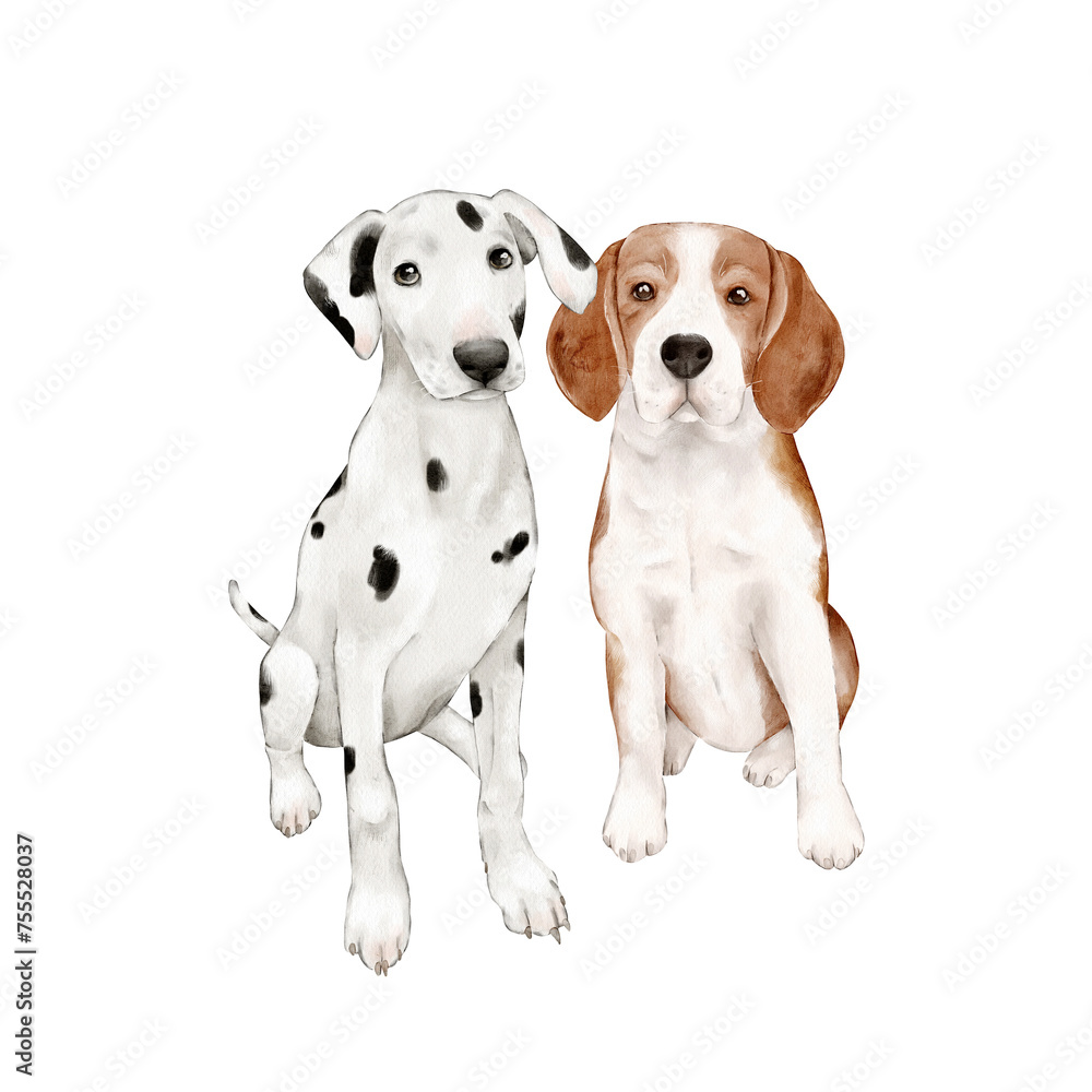 Watercolor beagle and Dalmatian dogs. Hand-drawn illustration of cute pets. Isolated clipart for design postcards, packaging, posters.