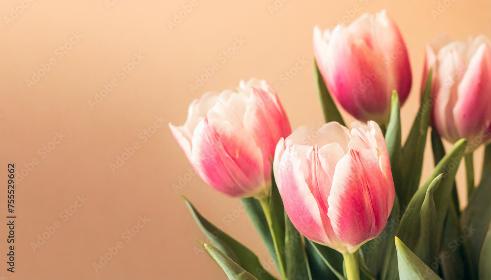 Fototapeta premium Pink tulip flowers on pastel peach background. Image for a wedding, women's day or mother's day themed greeting card or invitation