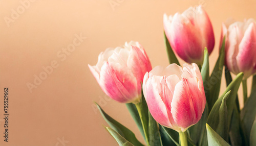 Wallpaper Mural Pink tulip flowers on pastel peach background. Image for a wedding, women's day or mother's day themed greeting card or invitation Torontodigital.ca