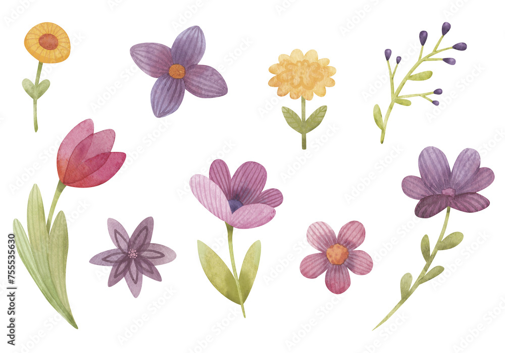 Watercolor set of spring flowers. Beautiful decorative delicate plants for cards, covers, print. Flowers are isolated on a transparent background.