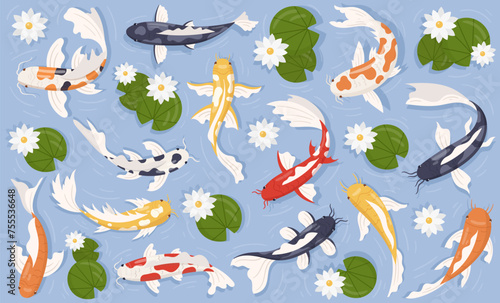 Colorful koi fish, japanese goldfish swimming in pond with lily flower and green leaves oriental set