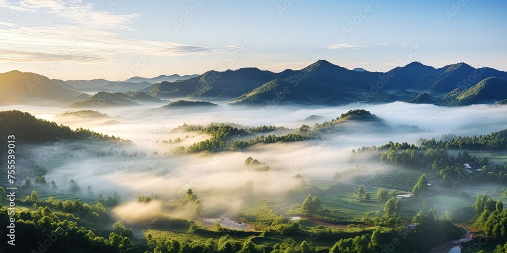 Beautiful green mountain landscape with morning sunrise sky and fog. Aerial view of green trees in tropical mountain forests and fog in winter.