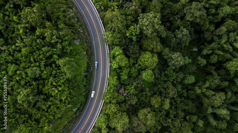 Aerial view road through the green forest, Car drive going through forest, Aerial top view forest, Texture of forest view from above, Ecosystem and healthy environment concept and background.
