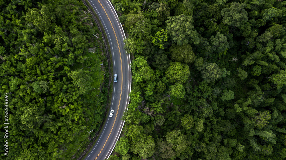 Aerial view road through the green forest, Car drive going through forest, Aerial top view forest, Texture of forest view from above, Ecosystem and healthy environment concept and background. Aerial view road through the green forest, Car drive going through forest, Aerial top view forest, Texture of forest view from above, Ecosystem and healthy environment concept and background.