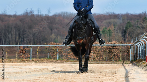 Horse with rider training on the riding arena, horse with kidney cover close-up legs and horse body. photo