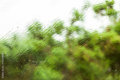 ventana con gotas de agua y vao por la lluvia en el exterior visualizando un paisaje de arboles verdes a través de las costas photo