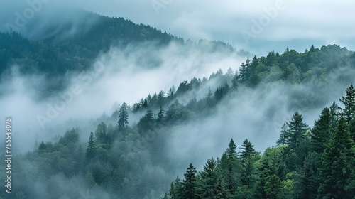 fog in the mountains ai generated high quality images © SazzadurRahaman