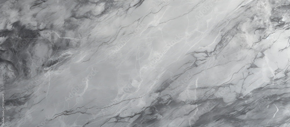 A high-resolution horizontal design showcasing a black and white marble texture background. This textured background is ideal for interior decoration, with a modern feel that resembles gray concrete A high-resolution horizontal design showcasing a black and white marble texture background. This textured background is ideal for interior decoration, with a modern feel that resembles gray concrete