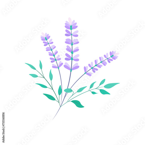 Lavender simple  bouquet  floral composition. Decorative element. Vector plant illustration made in flat style.
