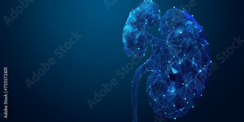 An abstract representation of the kidney's polygonal organ against a blue backdrop. kidney scanning, investigation, and diagnosis in humans. Low poly holographic wireframe vector graphics.