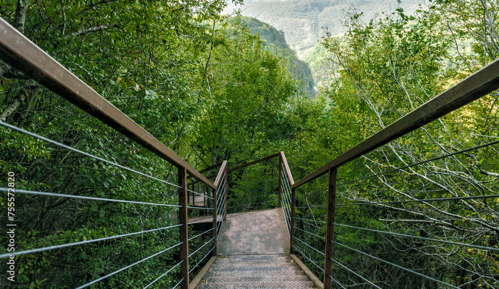 iron stairs in a forest with green trees in Georgia