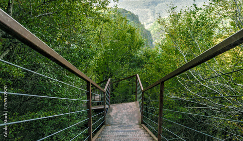 Fototapeta Naklejka Na Ścianę i Meble -  iron stairs in a forest with green trees in Georgia