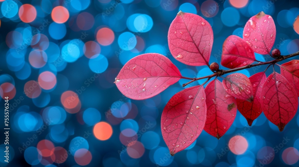 Close-up, Beautiful fresh nature view with plants, leaves, and garden background Close-up, Beautiful fresh nature view with plants, leaves, and garden background