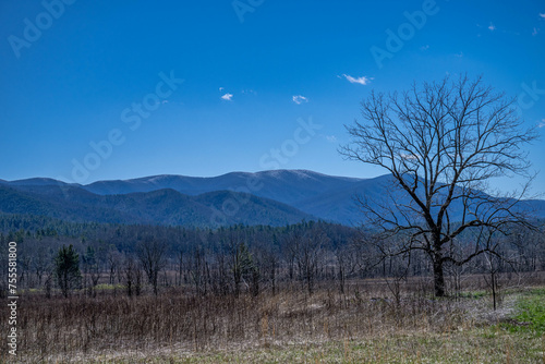 mountains