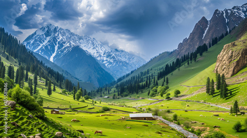 Nature, Mountains, Culture, Followers of Kashmir.