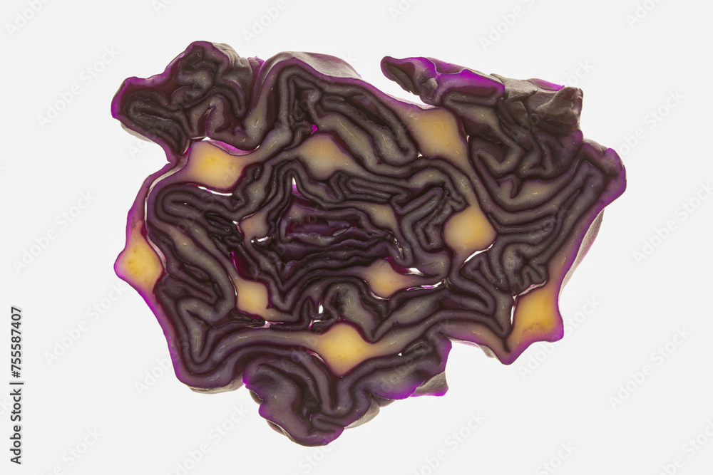 Red cabbage, highlighted cross-section of vegetable. Curved lines. Red cabbage, highlighted cross-section of vegetable. Curved lines.