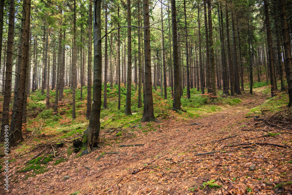 Fototapeta premium góry wałbrzyskie #Poland #nature #river #landscape #scenicview