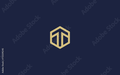 letter t with hexagon logo icon design vector design template inspiration